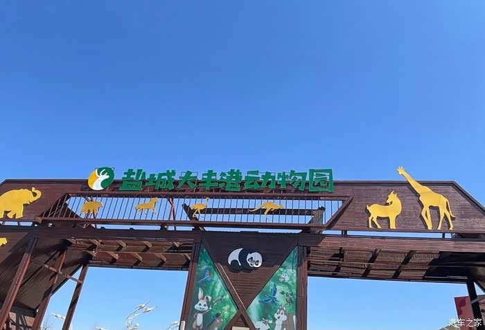 来大丰港动物园,荣威君陪我一起看奇妙动物