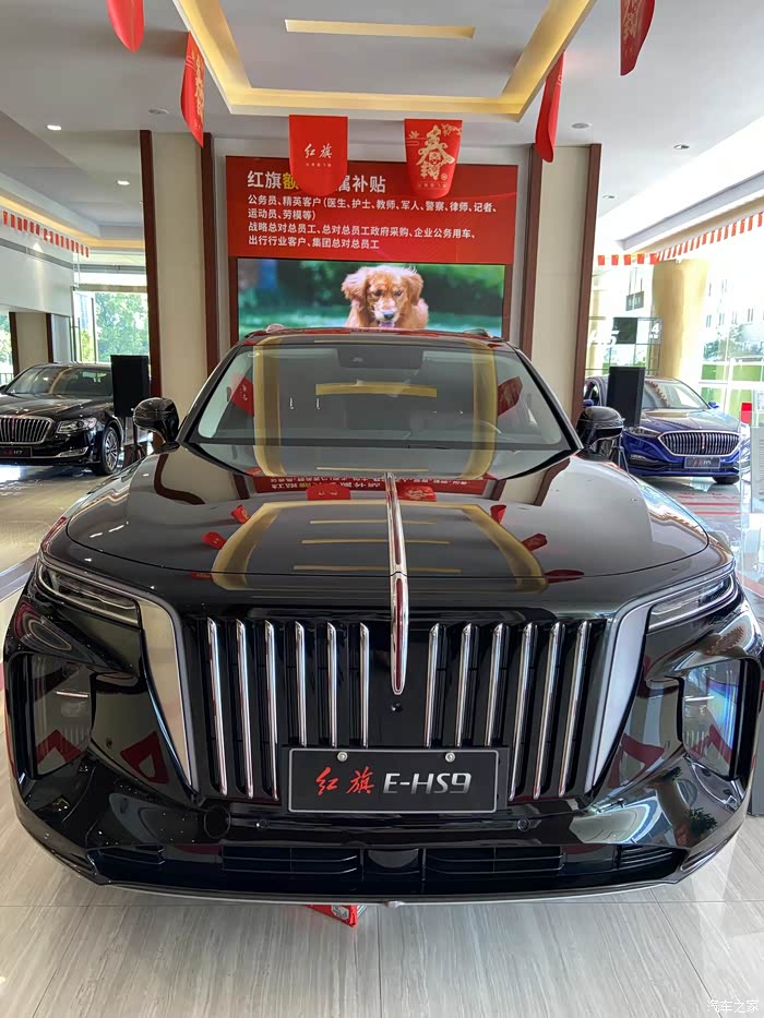 【图】太太太喜欢ehs9_红旗e-hs9论坛_汽车之家论坛