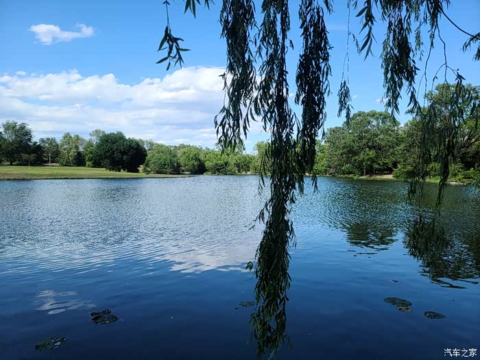闲来无事呼吸新鲜空气