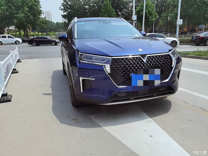 白领小姐姐与启辰星重返大学校园!