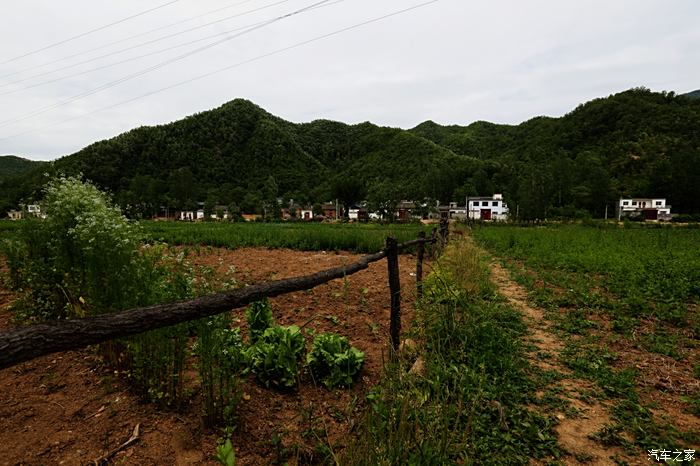 多彩六月开车进山到嵩县鹿鸣村体验城里想象不到的快乐