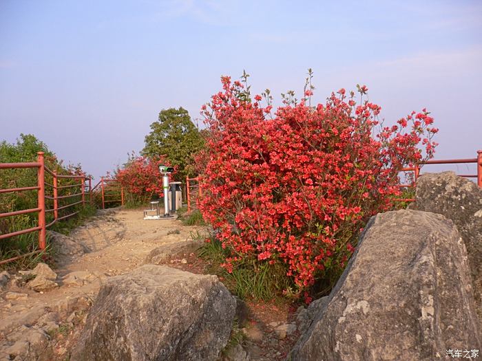 南安天柱山香草世界图片