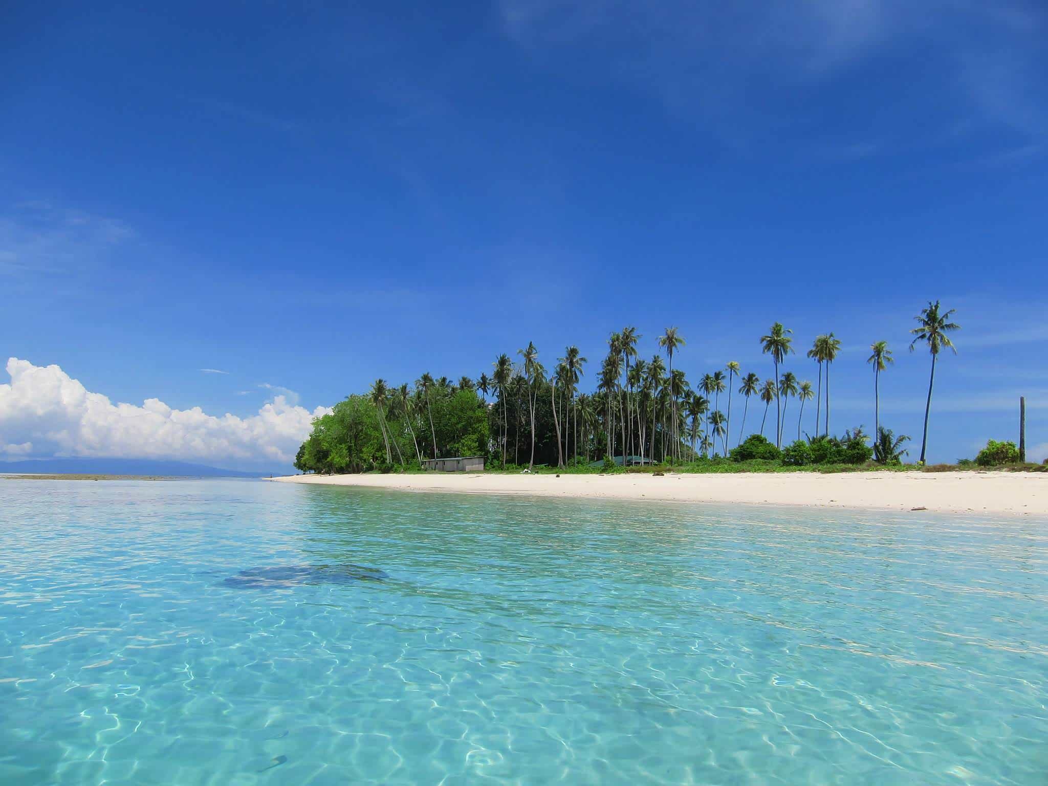 我心飞翔向往远方世界那么大风景在眼前和大海的亲密接触