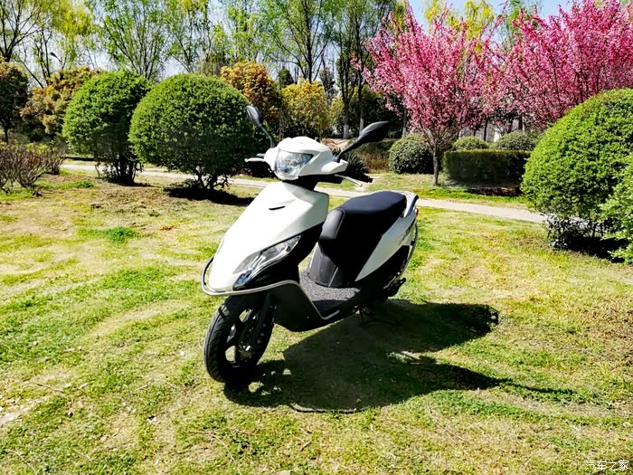 随大流购入铃木uu