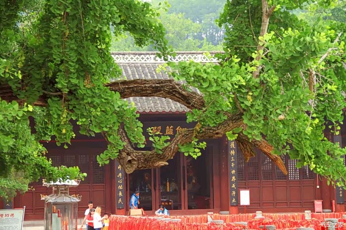 自驾75当阳玉泉寺游记