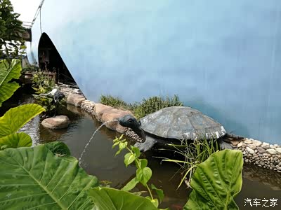乌龟喷水