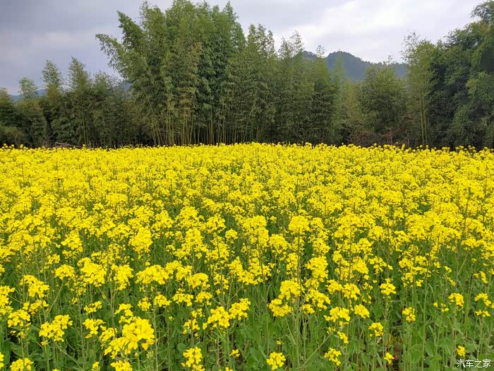 南方三月艳阳天,褪去厚重换轻装