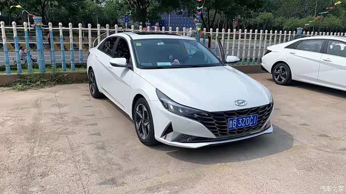 极地小白伊兰特,我的"伊"莉莎"白"