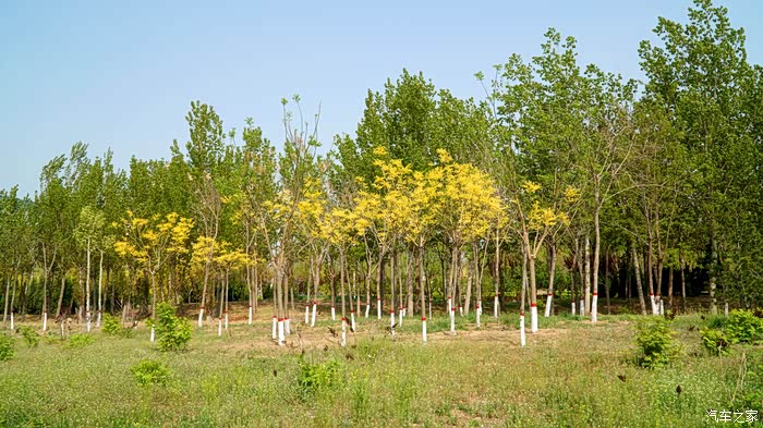 迎暖春送积分走进新村公园