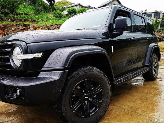 坦克300wey标及坦克标切换过渡的公告