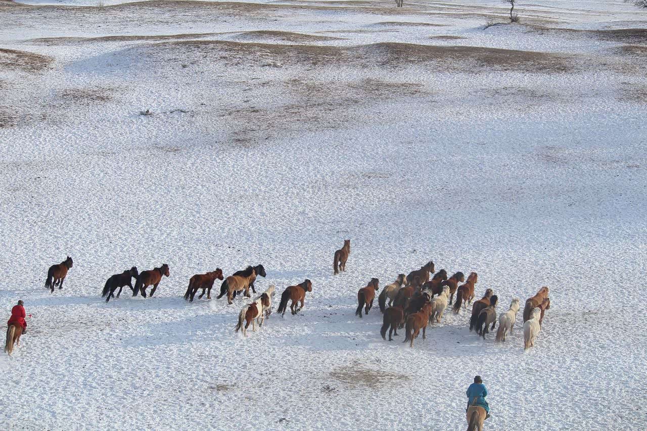 踏雪无痕的万马奔腾真好看
