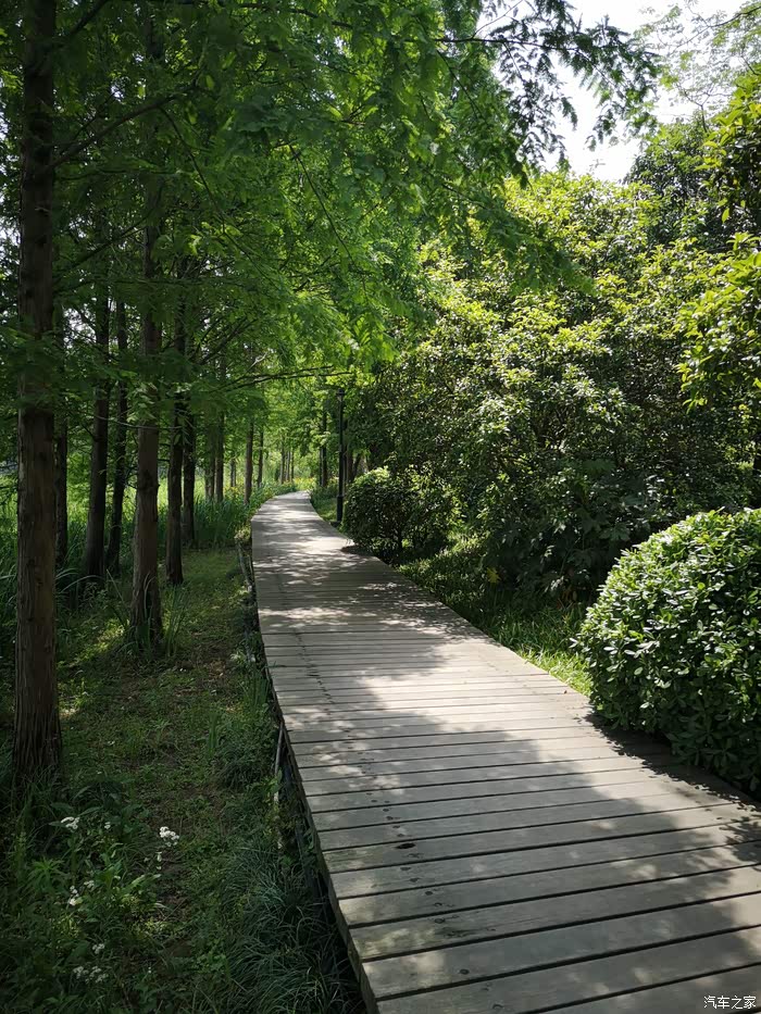 感受渤公岛生态公园的魅力