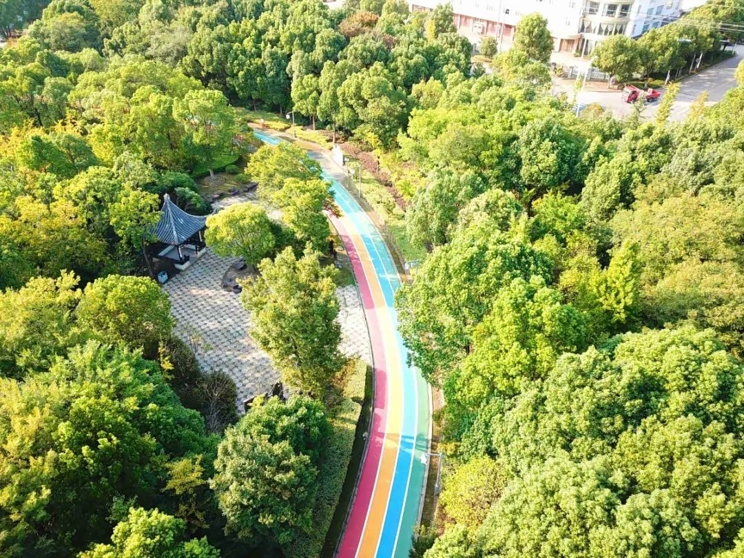 彩虹步道已经成为了城市的象征,魅力非常大