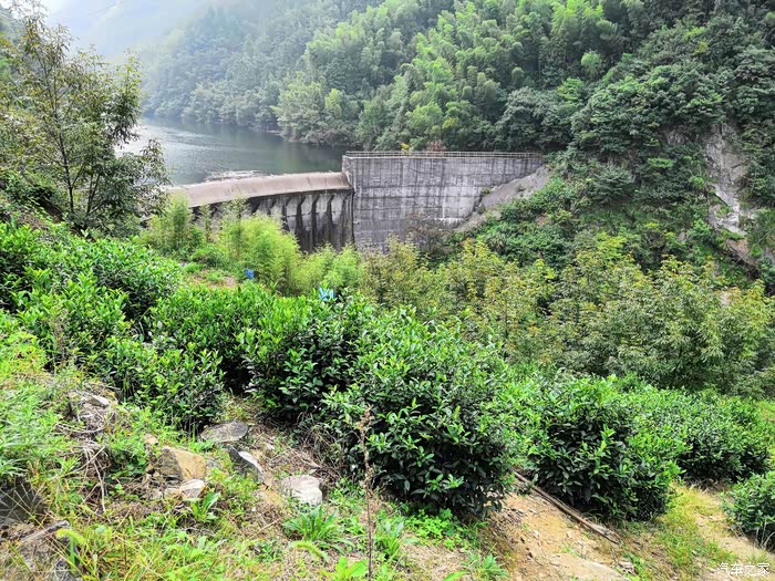 自驾徽杭古道徒步二临风品茗快哉快哉