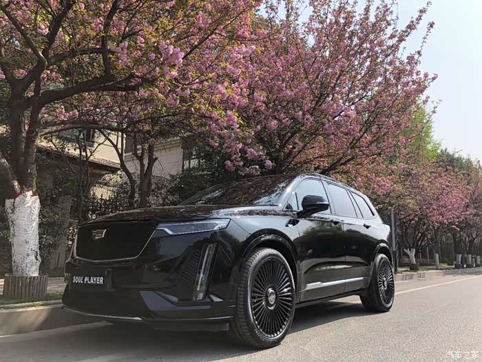 【图】樱花树下你最美,xt6四豪运动变身黑武士_凯迪拉克xt6论坛_汽车