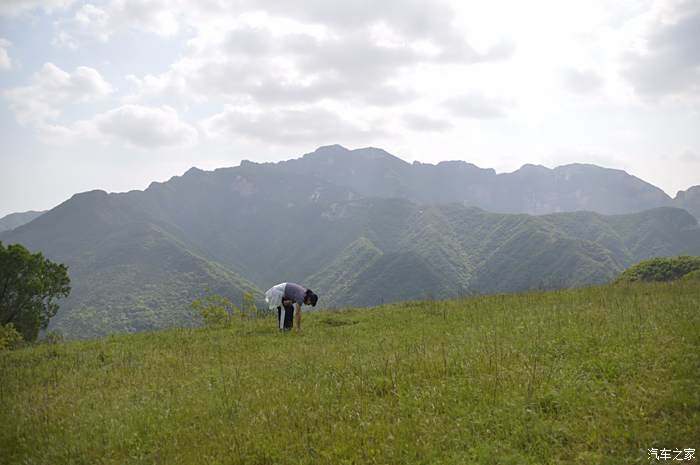 陝西奇駿大隊駿行自駕聯盟自駕流峪草甸野炊大盤雞高山草甸