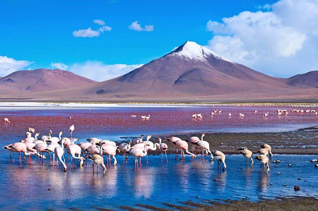 南美洲玻利维亚的美景