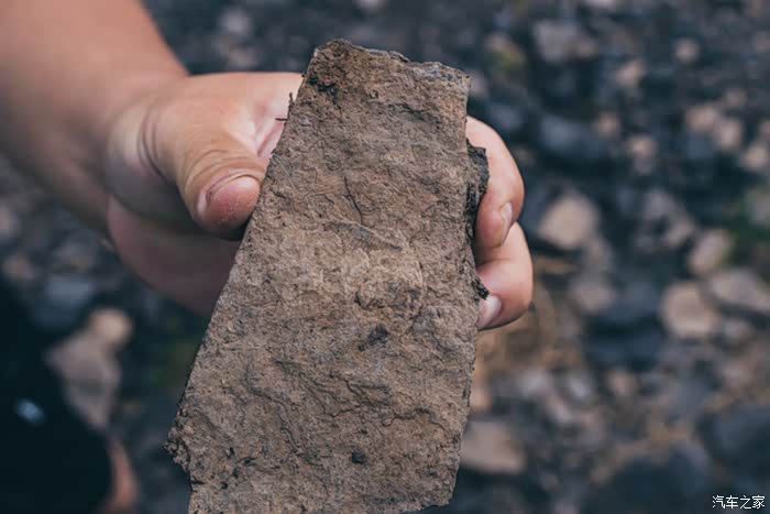 观瀑布游溶洞挖化石,多彩贵州西线行
