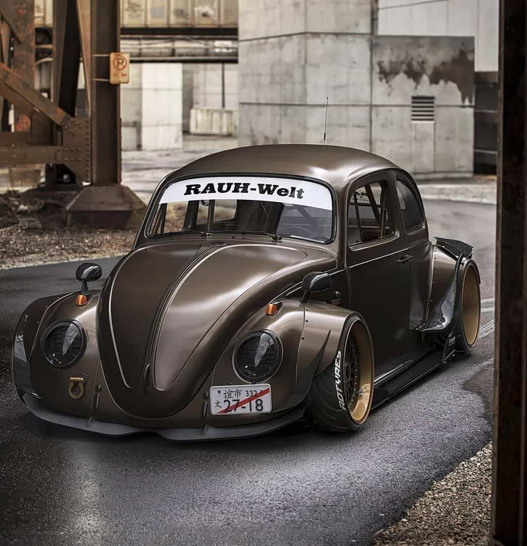 宽体甲壳虫beetlerwb