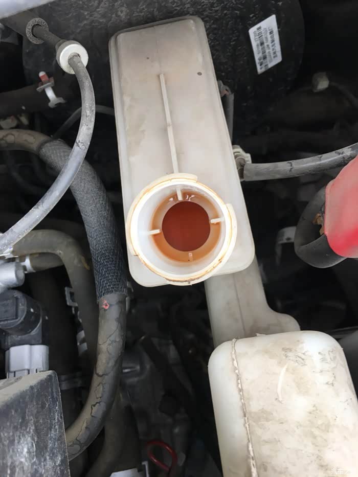我的刹车油是这种颜色