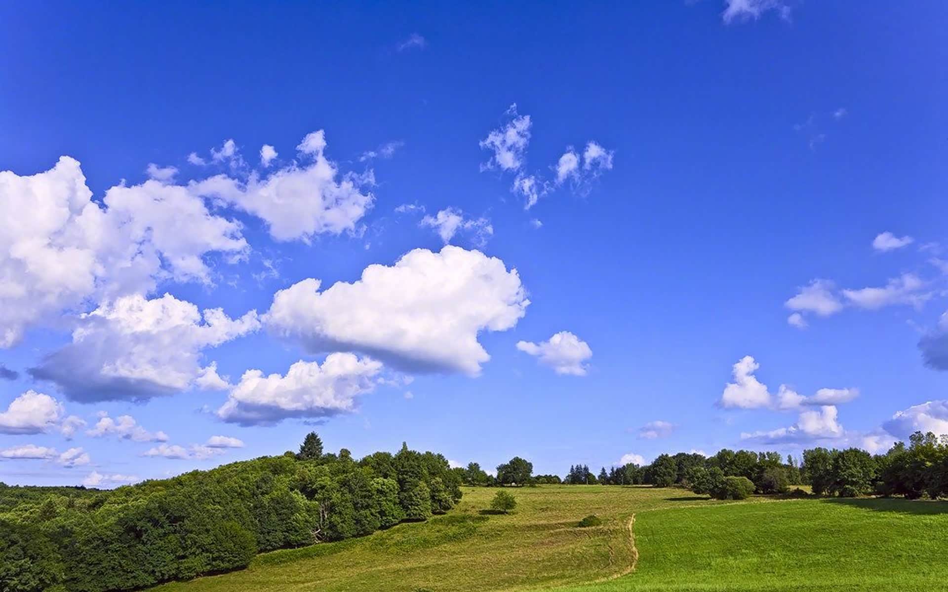 湖水是碧绿的飘着一层薄薄的雾宛如仙女