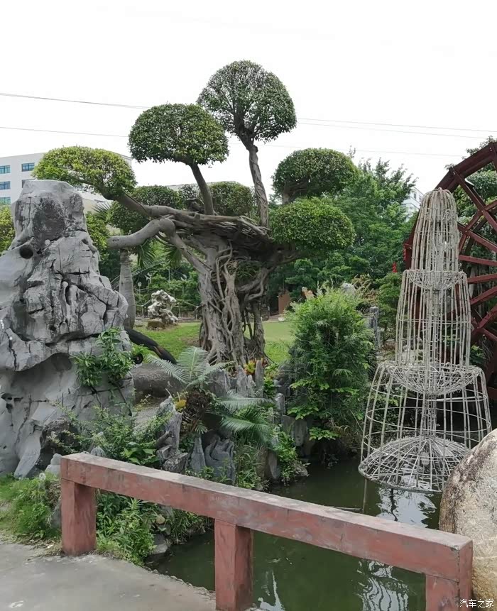 和沃尔沃s60l游玩科隆千树园景区