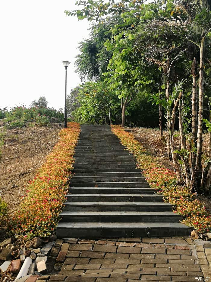 逸路有你打卡石马桃花公园