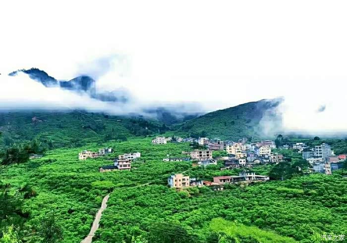 14代轩逸体验当三华李成熟时