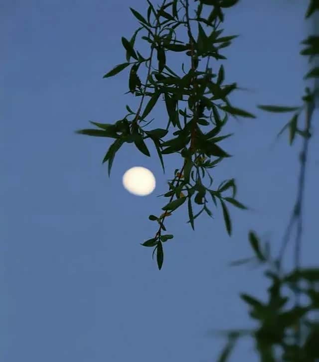 窗前明月光,疑是地上霜,举头望明月,低头思故乡!