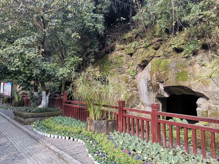 【你好2021】泸州忠山公园闲游-1
