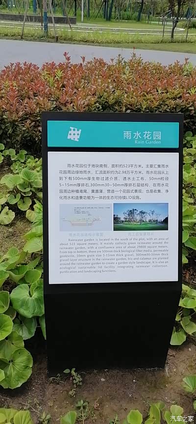 图 上海南汇新城城市公园超大看点——雨水花园