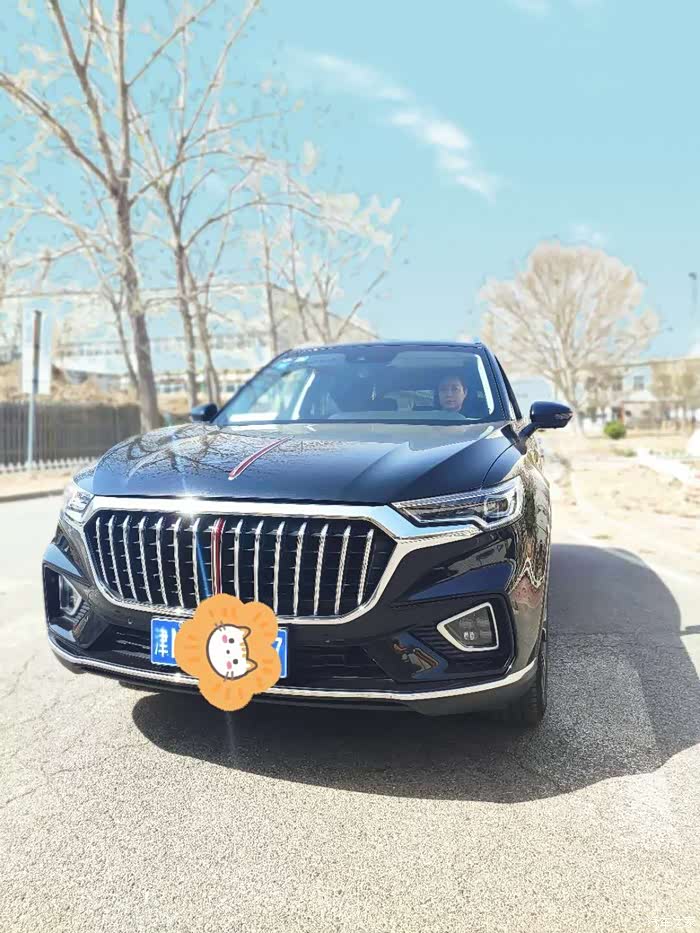 【图】【简单粗暴】2020的满意之选--红旗hs5_湖南论坛_汽车之家论坛