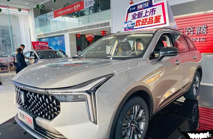 奔腾t55确实漂亮对它甚是青睐