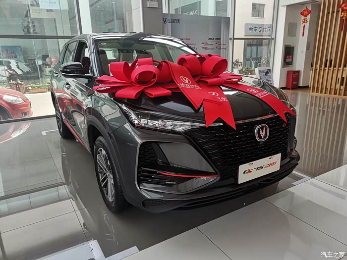 订75普拉斯20t最高配安第斯灰色的旗舰