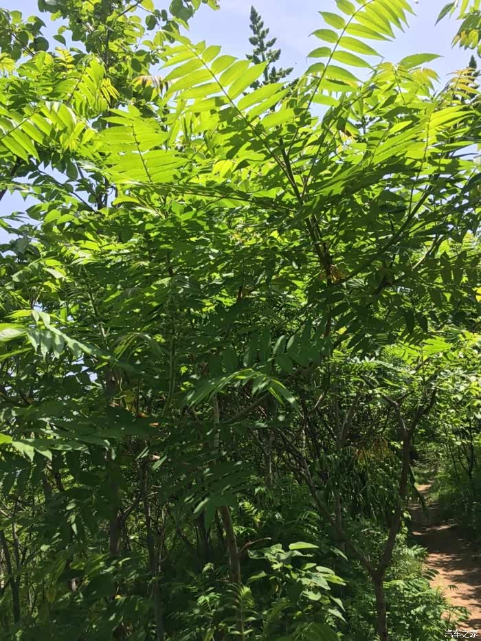 陕西长安悦翔家族车友会t57带着媳妇瞧瞧子午风景