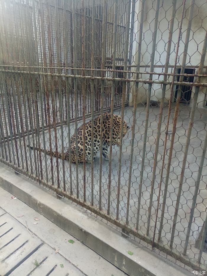 扬州野生动物园图片