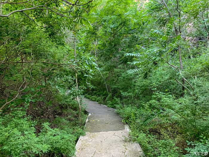 鲁北平原唯一山体--碣石山
