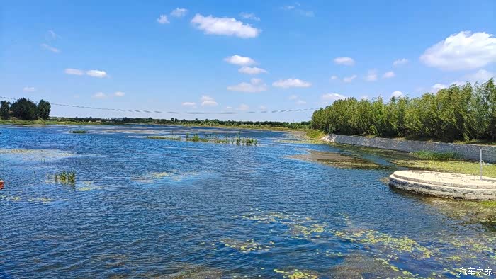 大沽河风景随手拍真的是惊艳到了