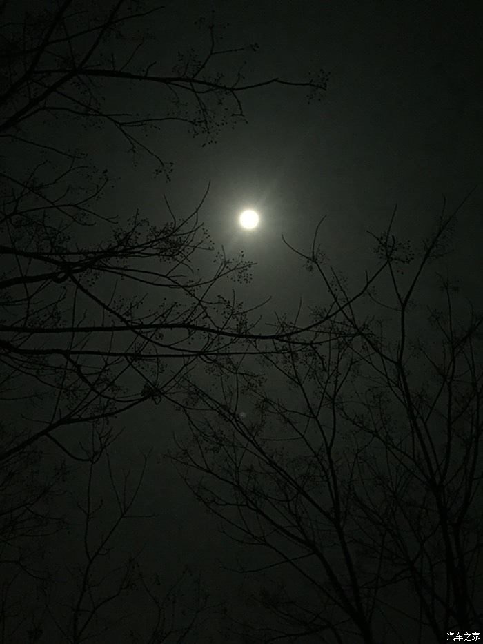 夜晚看月亮的图片图片