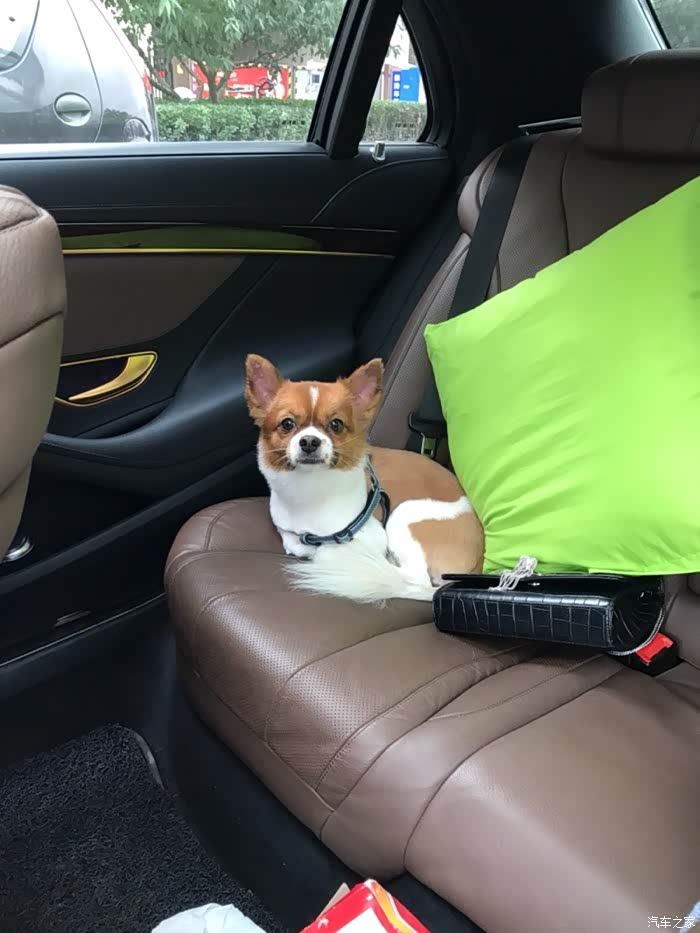 【图】思域百公里加速时间多少?