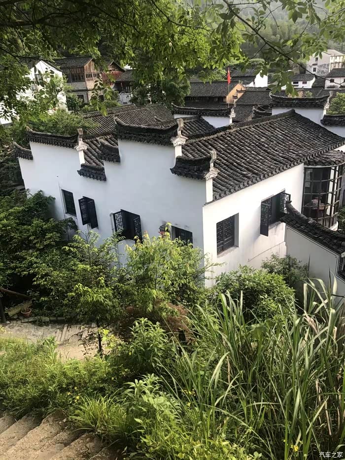 小虎助力,感受古朴乡村的宁静与美