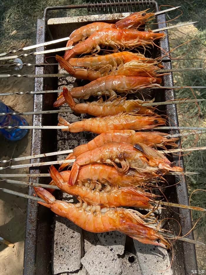 自驾cs55plus野外烧烤,享受有车的生活!