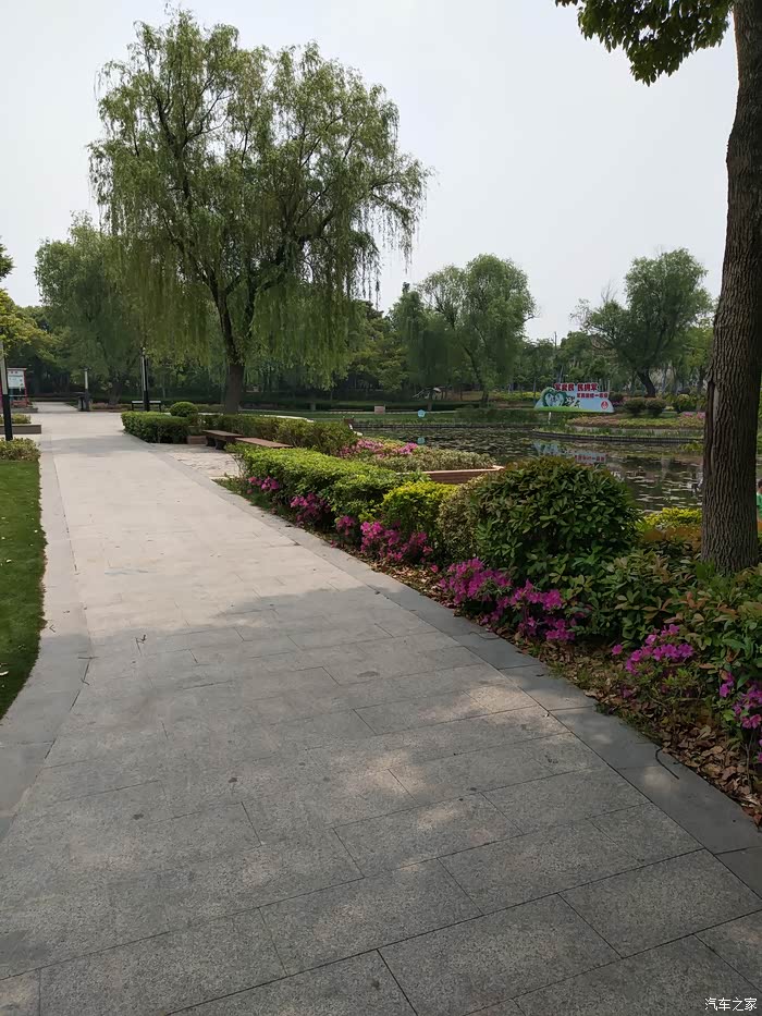 【图】【上海长安车友会】绿意盎然,自驾逸动游华漕公园_逸动论坛_汽