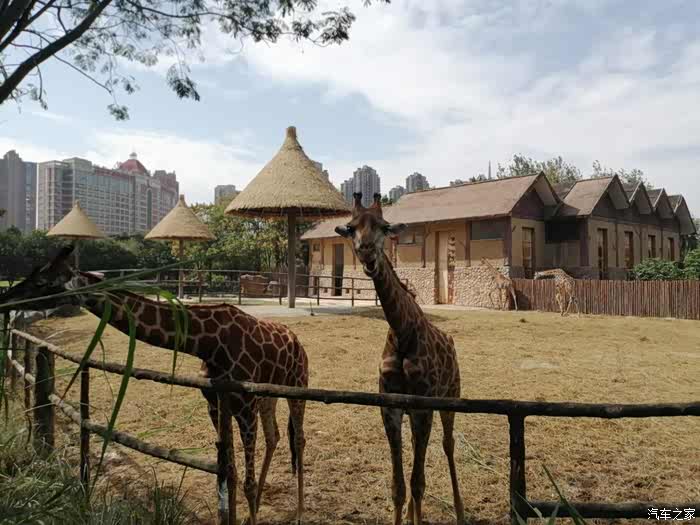 周末喜游南昌动物园