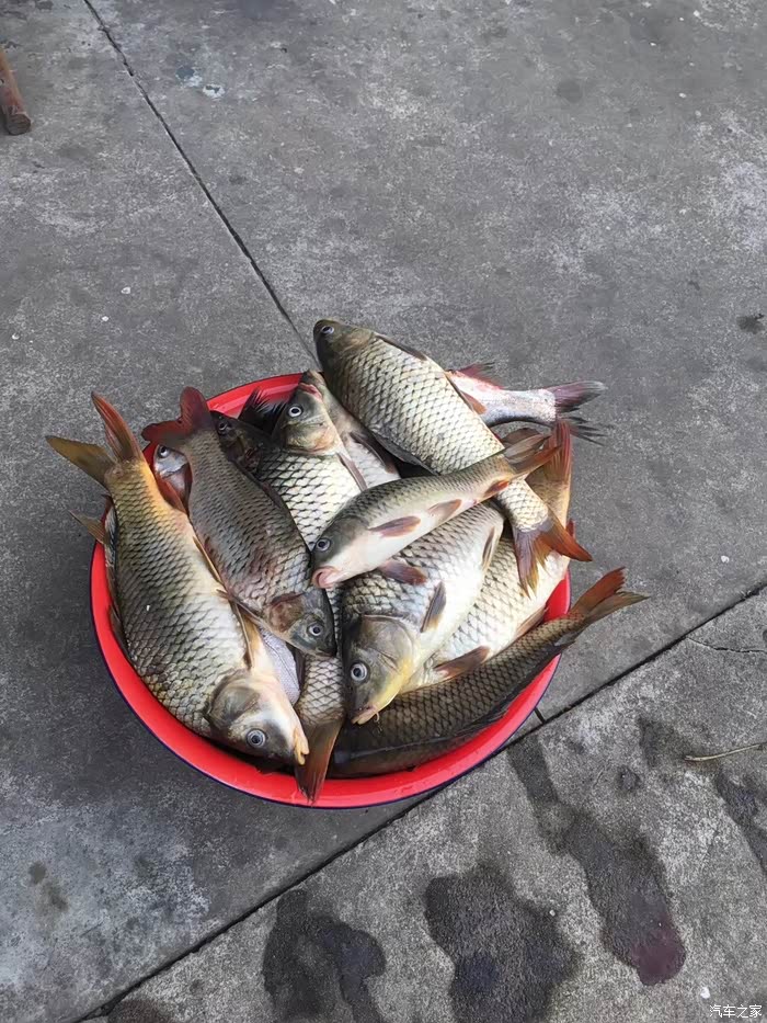 自驾g3去佛子岭水库钓鱼