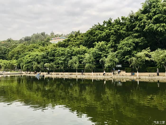 攀枝花市炳草岗竹湖园公园