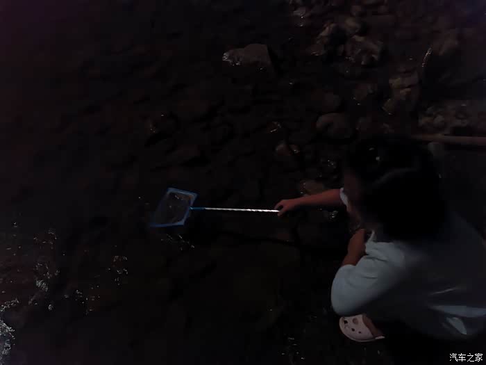 我们陪你长大你陪我们变老晚上抓鱼初体验