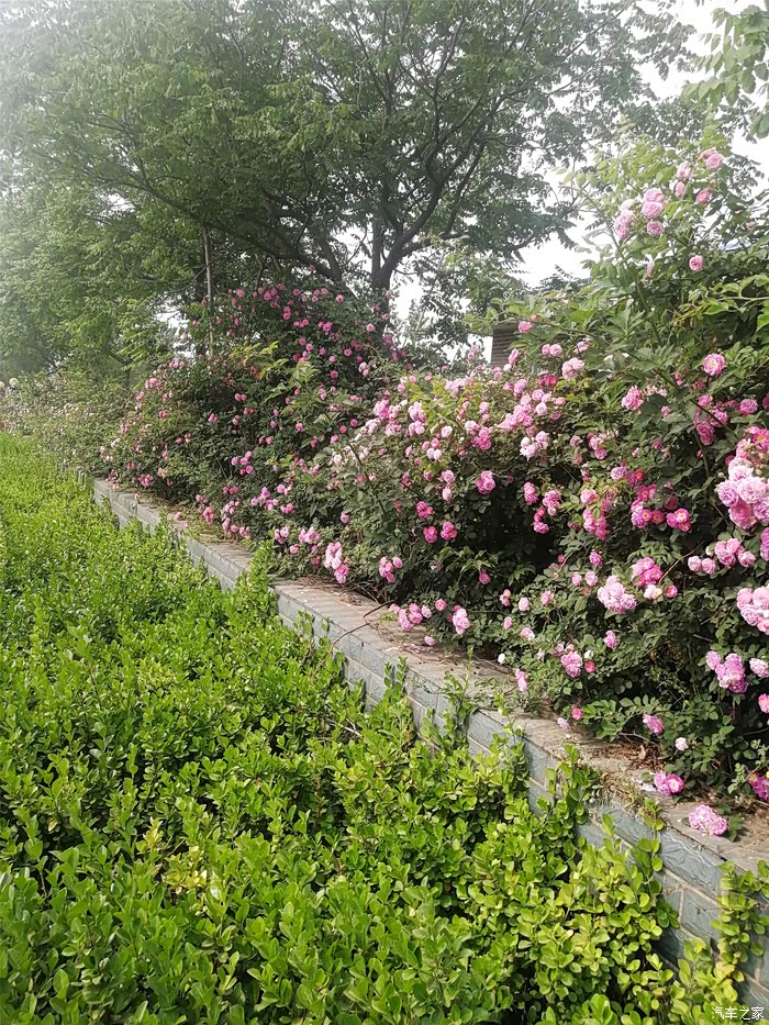 小五陪我打卡亚滦湾农业公园