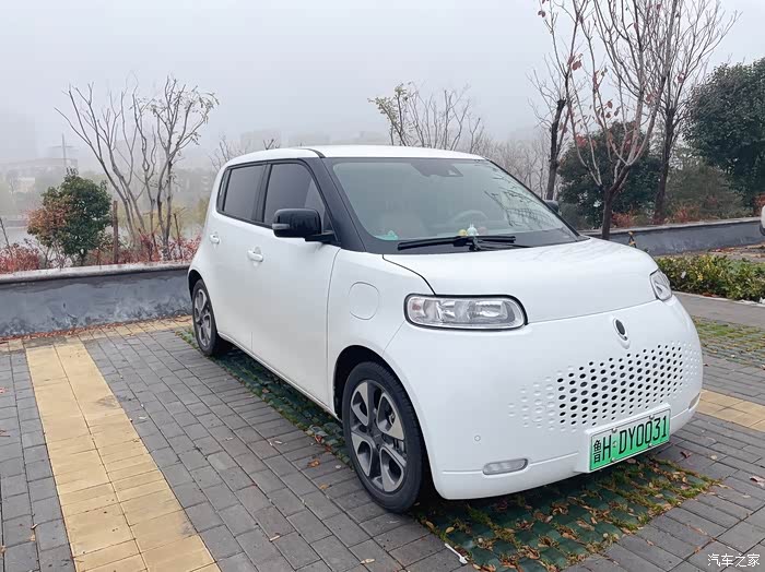 欧拉白猫论坛_汽车之家论坛