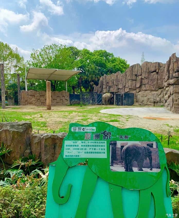 自驾名爵zs游成都动物园